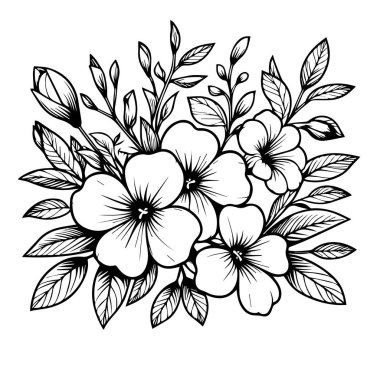 Allamanda kataloğu renk çizim sayfası, basitlik, süsleme, tek renkli vektör sanatı, çiçek açan Allamanda katalizör vektör resimleme güzel çiçek süslemesi, kartpostal