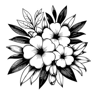 Sanatsal Allamanda oymalı mürekkep sanatı, Allamanda kataloğu çiçek dövmesi tasarımları, estetik çiçek kümesi güzel çiçek süsü çizimi vektör çizimi