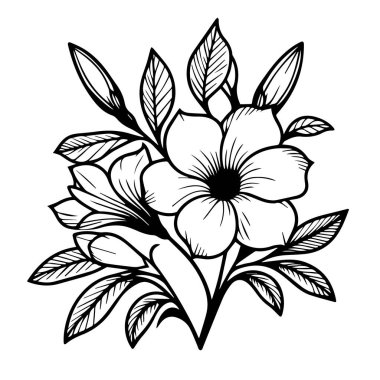 Narin Allamanda katartik dövmesi. Allamanda katartik vektör çizimi, güzel Allamanda katartik çiçek buketi, elle çizilmiş renkli sayfalar ve bir çiçeğin sanatsal çizim kitabı.
