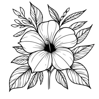 Allamanda katartik çiçek boyama sayfası, basitlik, süsleme, monokrom, vektör sanatı, çiçek desenli dış baskı siyah ve beyaz mürekkep resimli Allamanda katartik vektör çiçeği