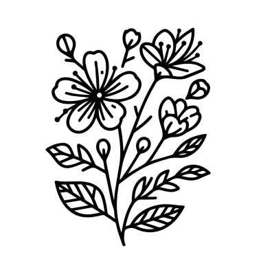 Bahar çiçeği çizimleri, el boyası jspring duvar resimleri, beyaz bahar çiçeği botanik duvarı sanatı, basit bahar çizimi, gerdanya borsa çizimi, bahar çizgisi sanatı, el çizimi bahar sanatı