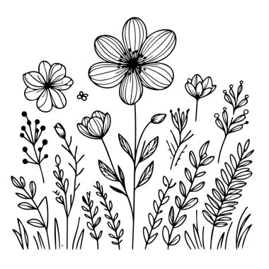 Çiçek boyama sayfaları, ve kitap, bahar çiçeklerinin vektör çizimi, El çizimi bahar çiçekleri, botanik yaprak tomurcuğu çizimi oymalı mürekkep sanatı tarzı çiçek tasarımı elementleri. siyah ve beyaz oymalı çiçek çizimi,