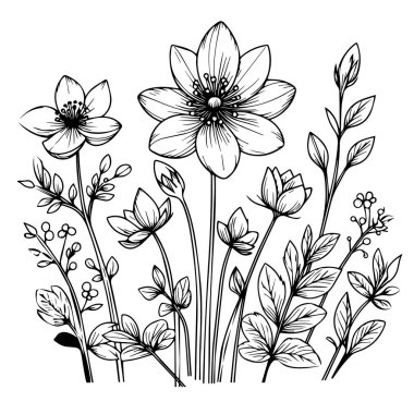 Çiçek boyama sayfaları, ve kitap, bahar çiçeklerinin vektör çizimi, El çizimi bahar çiçekleri, botanik yaprak tomurcuğu çizimi oymalı mürekkep sanatı tarzı çiçek tasarımı elementleri. siyah ve beyaz oymalı çiçek çizimi,