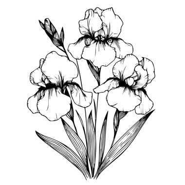 Siyah ve beyaz iris ana hatları vektör boyama kitabı sayfası yetişkinler ve çocuklar için elle çizilmiş iris çiçekleri, beyaz arkaplan mürekkebi resimleme renk kitabı