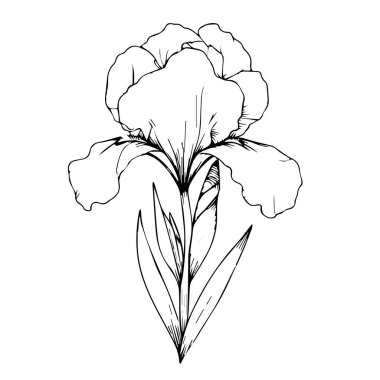 Sayfaları boyayan sevimli çocuklar, kolay iris çiçeği siyah ve beyaz illüstrasyon, iris çiçeği çizimi, iris çiçek vektör sanatı, basit çiçek çizimi, eşsiz çiçek boyama sayfası, basılabilir çiçek boyama sayfaları çiçek çizimi. El çizimi illüstrasyon