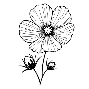 Basit çiçek boyama sayfaları, yetişkinler için renklendirme sayfaları, el çizimi iris çiçeği eskiz sanatı, çiçek çizimi kozmos çiçek çizgisi çizimi çizimi güzel kozmos çiçekleri için çiçek bahçesi, basit çiçek vektör sanatı siyah beyaz çiçek