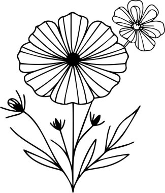 Kozmos 'un doğum çiçeği. Kart ya da baskı için çiçek demeti. El boyaması kozmos çiçekleri beyaz arka planda izole edilmiş mürekkep resimleri çiçek boyama sayfaları ve yaprakların dekoratif ikon vektörlü basılı çiçekler için kitaplar.