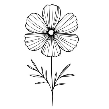Kozmos vektör sanatı, tek renkli çiçek çizimi. mürekkep vektörü çizim el çizimi kalem çizimi, botanik koleksiyonu basitliği, sanatsal, çocuk ve yetişkinler için boyama kitabı siyah ve beyaz mürekkep resim