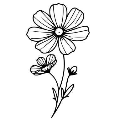 Minimalist tek kozmos çiçek çizimleri, kozmos çiçek vektör sanatı, dış hatlar çizimi çiçek dövmesi, küçük iris çiçeği dövmesi, beyaz arka planda izole edilmiş güzel çiçek ve yapraklı illüstrasyon tasarımı.