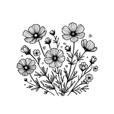 Çocuklar için renklendirme sayfaları, Kolay Kozmos çiçek çizimi çizim çizim çizimi sanatsal kozmos çiçekleri el çizimi kalem sanatı, izole olmuş gerçekçi çiçek boyama sayfaları çiçekler ve siyah beyaz vektör sanatı