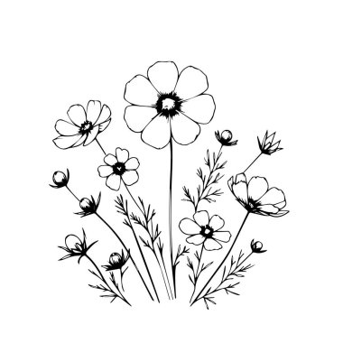 Basit çiçek boyama sayfaları, yetişkinler için boyama sayfaları, el çizimi kozmos çiçeği çizim sanatı, çiçek çizimi sanat çizgisi çizimi çizimi çizimi, güzel kozmos çiçekleri için çiçek bahçesi, yapraklı güzel çiçek vektör sanatı