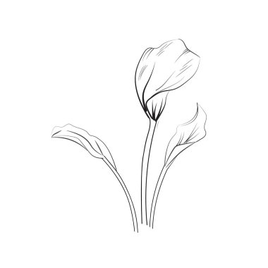 Sayfaları boyayan sevimli çocuklar, kolay kalla çiçeği, siyah-beyaz çizim, kalla çiçeği çizimi, kalla çiçeği vektör sanatı, basit çiçek çizimi, beyaz arkaplan üzerindeki eşsiz çiçek renklendirme vektör çizimi