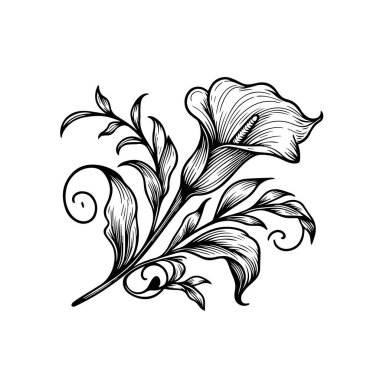Calla çiçeği siyah ve beyaz vektör çizimi Calla sadeliğinin çiçek demeti süslemesi, süsleme, kart yazdırma sayfaları için zenkarga tasarım elementi, çiçek boyama sayfaları elle çizilmiş çiçek renklendirme vektörü el yapımı çiçeklendirici elementler