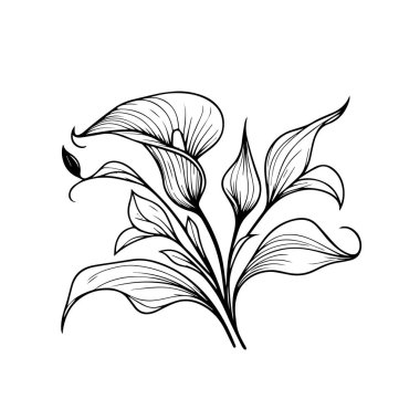 Calla çiçek sanatı, el yapımı botanik yaz elementleri içinde bir yazı tipi görünümünün vektör çizimi doğal koleksiyon, boya sayfası için kalla çizgisi sanatı, kalla çiçeği çizgisi, kalla çiçeği siyah dövme vektörü el siyah beyaz çizilmiş.