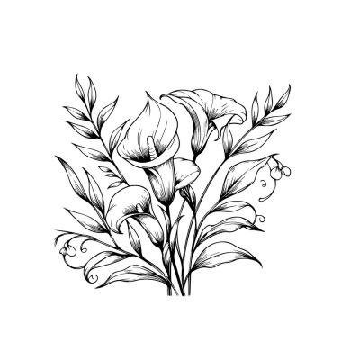 Calla çiçeği çizimleri, Calla çizimleri, kalem Calla çiçeği çizimi, kalem Calla çizim sayfaları, bedava basılabilir çiçek renklendirme sayfaları, Calla çiçek vektörü el çizimi çiçek çizimi
