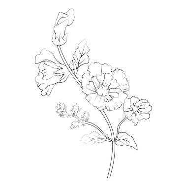 Minimalist tek Hollyhock çiçek çizimleri, Hollyhock çiçek vektör sanatı, ana hatları çizim Hollyhock çiçek dövmesi, küçük Hollyhock çiçek dövmesi, mürekkep çizim klipleri bir çalılığın dalının beyaz, çiçek boyama vektör çizimi üzerine izole edilmiş.