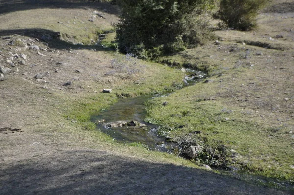 Небольшой Ручей Течет Зеленому Лугу Горах — стоковое фото