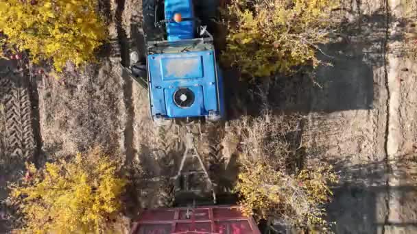 Aerial View Tractor Driving Thousands Pomegranate Trees — Stock videók