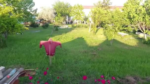 마리의 색깔의 초원에서 — 비디오