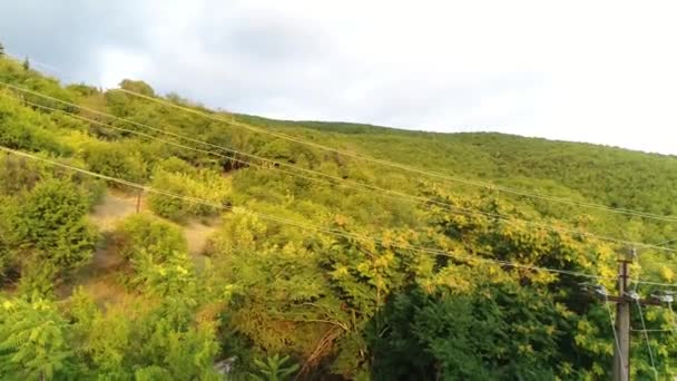 Zbliżenie Dekoracyjnego Wodospadu Posągiem Orła Nim — Wideo stockowe