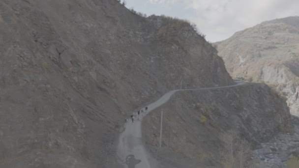 Dengan Jalan Masuk Dikelilingi Oleh Tebing Curam Gembala Mendorong Sapi — Stok Video