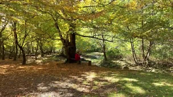 Mujer Capa Roja Está Tomando Una Foto Pacífica Bosque — Vídeo de stock