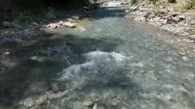 Ormandaki güzel nehir