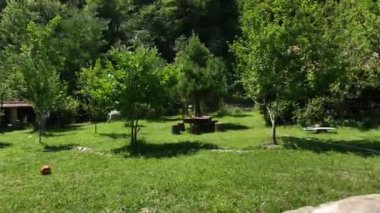 Parkın güzel manzarası