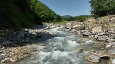 Ormandaki güzel dağ nehri