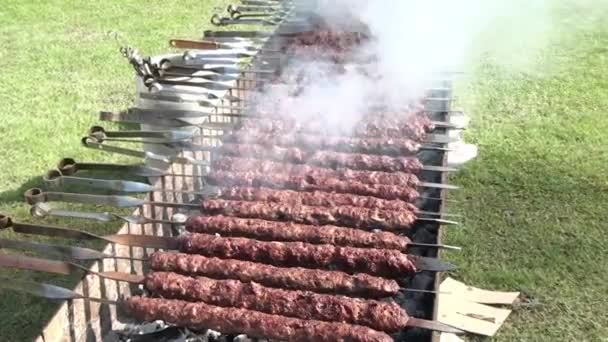 Kebab Turco Alla Griglia Nel Parco — Video Stock