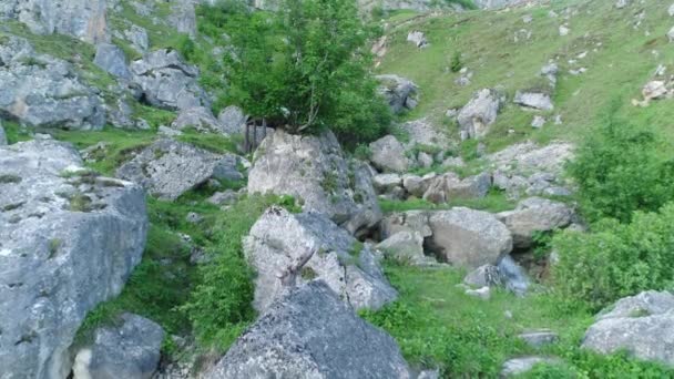 Красивий Знімок Скелястої Гори Зеленим Мохом Фоні — стокове відео