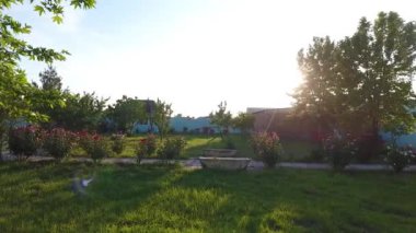 Ağacı ve yeşil otları olan güzel bir manzara.