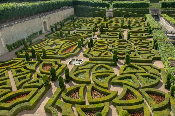 Fantastico Castello Villandry Con Suoi Meravigliosi Giardini Piante Fiori — Foto Stock