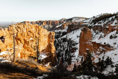 Bronzlaşmış tek renkli güzel sanatlar. Bryce Canyon Ulusal Parkı 'nın resmi. Kışın ortasında, yerde kar varken.