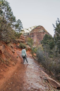Amerika Birleşik Devletleri 'nin Utah eyaletindeki Zion Ulusal Parkı' nın popüler yürüyüş alanında kışın donmuş bir yolda yürüyen bir kadın..