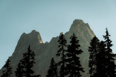 Washington geçidi. Kuzey Kadehleri yakınındaki ulusal parkın doğu girişi. Kuzey Washington 'da..