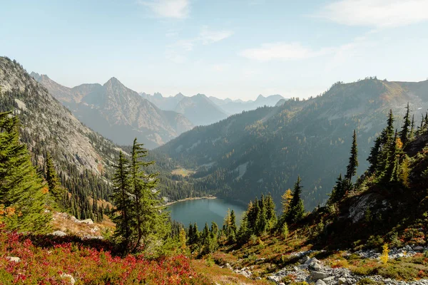 Horizontal wide Photo of lush high mountain altitude massive conifer trees off trail with alpine lake below in the North Cascades National Park in Northern Washington State United States of America.