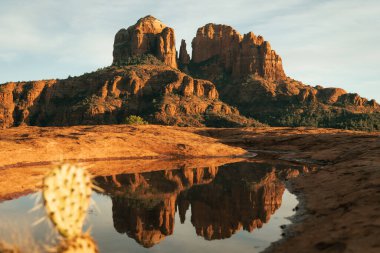 Horizontal image of cathedral rock in sedona Arizona usa seen from secret slickrock with reflection of geological sandstone rock formations and spires with cactus and water in foreground at sunset.