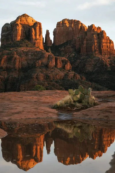 Reflection photo taken at sunset in Sedona Arizona United States Yavapai County at sunset in winter of Cathedral Rock illuminated with reds and oranges showing green cactus in foreground and clouds.