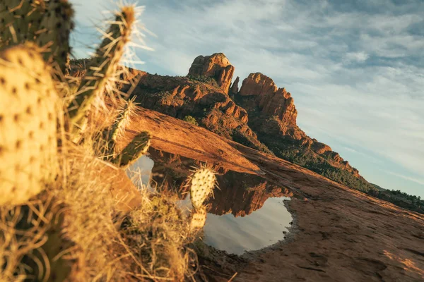 Horizontal image of cathedral rock in sedona Arizona usa seen from secret slickrock with reflection of geological sandstone rock formations and spires with cactus and water in foreground at sunset.