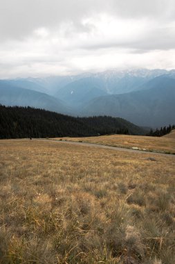 Washington eyaletinde Olimpiyat Ulusal Parkı Kasırgası Sırtı 'nda tepelerde ve çayırlarda bulutlu mavi sırt dağ katmanları ve ağaçlar var..