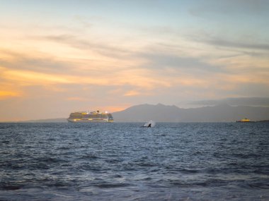 Puerto Vallarta Meksika limanından ayrılan yolcu gemisinin suya dalmasıyla balinalar masal anlatır..