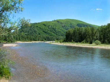 Güneşli bir yaz gününde dağ nehri