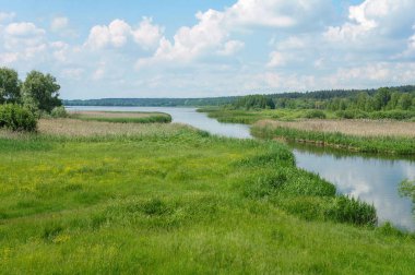 This photo captures a beautiful picture of the river that flows into the lake in the background. The banks of the river are decorated with reeds on the right and green beds on the left, and you can see the forest in the distance. 