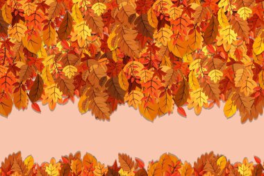 Sonbahar yaprakları. Sonbahar yaprakları dökülüyor ve kavak yaprakları rüzgarda uçuşuyor. Sonbahar tasarımı. Pankartlar, afişler, el ilanları, sunumlar için şablonlar.