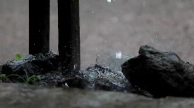 Evin önündeki serin, yağmurlu atmosfer