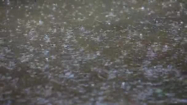 Hűvös Esős Hangulat Ház Előtt — Stock videók