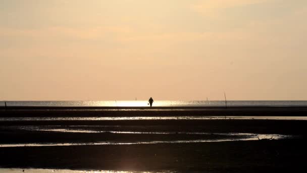 美丽的落日和渔民寻找海蟹的活动 — 图库视频影像