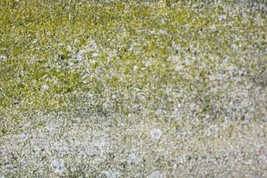 soyut bir arkaplan dokusu