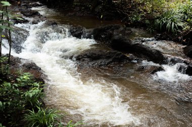 Kayalık bir nehirde hızlı bir su akışı